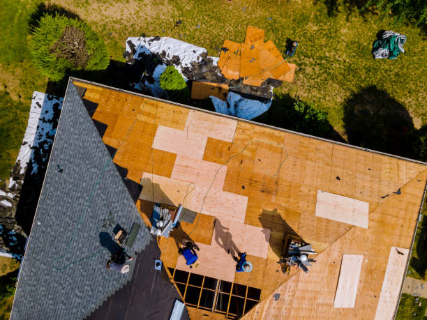 Best Metal Roofing Contractor  in Snowflake, AZ